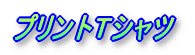 �v�����gT�V���c